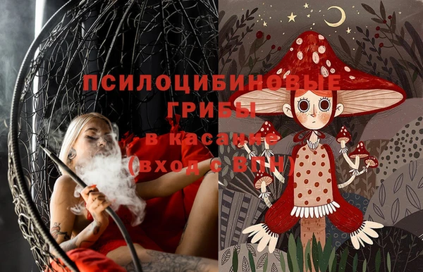 стаф Красноперекопск