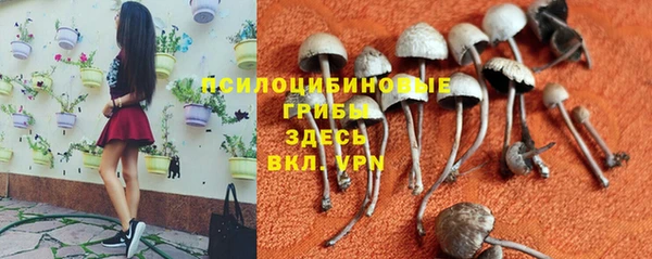 герыч Краснотурьинск
