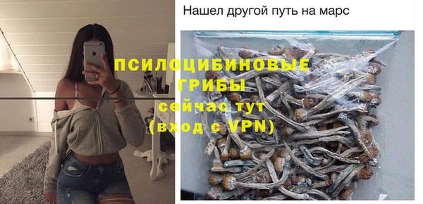 стаф Красноперекопск